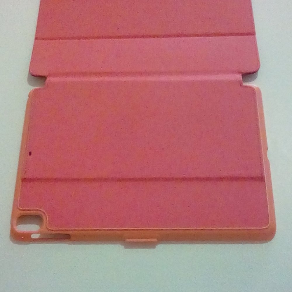 Speck iPad Case